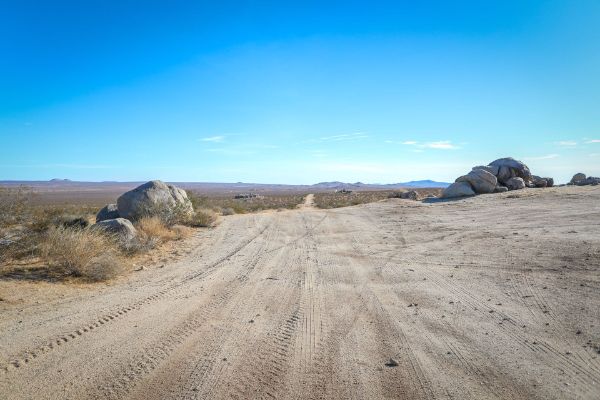 Phacelia Wildlife Sanctuary