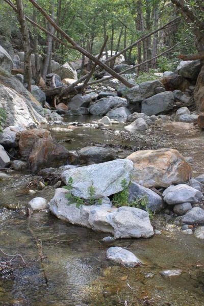 Mt. Baldy Wilderness Preserve