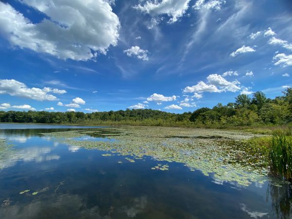 Little Swartswood Lake