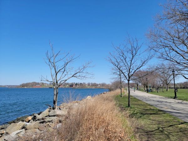 Little Bay Park