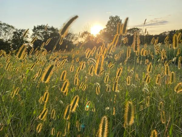 Doyle Park - Mike Merdinger Memorial Trail