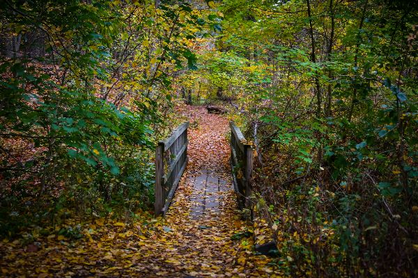 Arden Point and Glenclyffe
