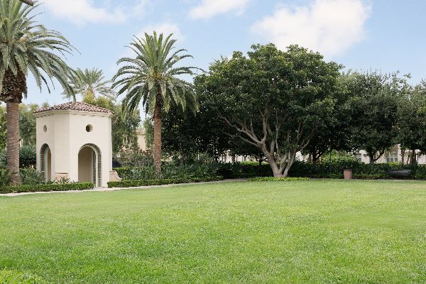 Coral Tree Square Park