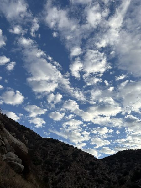 Pacific Crest Trail (PCT) Silverwood to Wrightwood