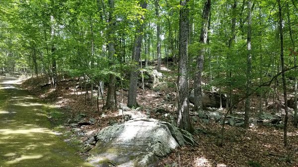 Minisink County Park