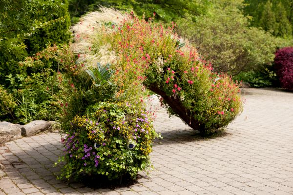 Everett Children's Adventure Garden, NYBG
