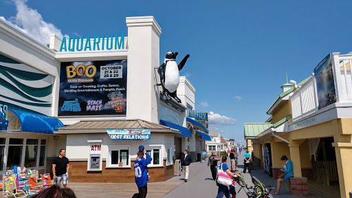 Jenkinson's Aquarium