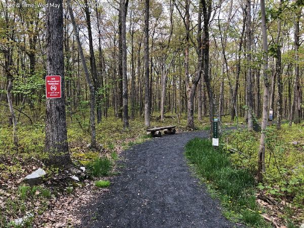 Cornelia & Florence Bridge Nature Preserve