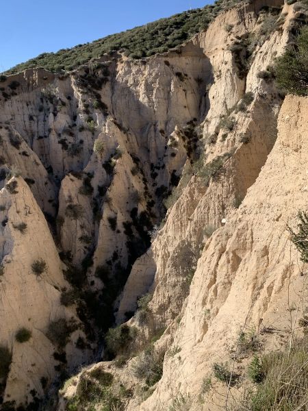 Pacific Crest Trail