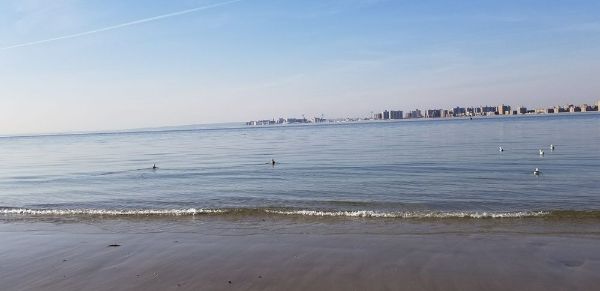 Breezy Point Tip