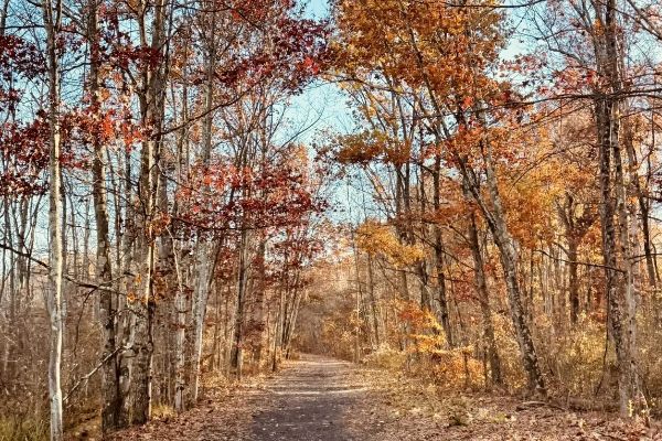 Sussex Branch Trail Access Newton North