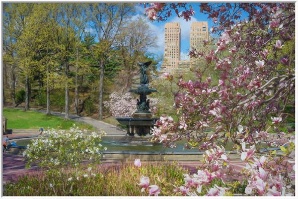 Bethesda fountain new york