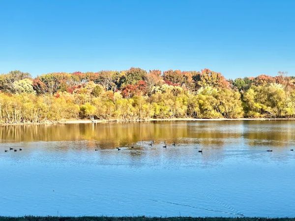 Veterans Park Patriotic Walkway
