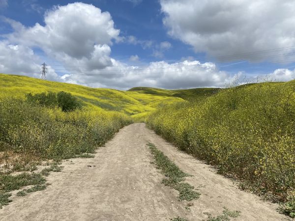 Carbon Canyon Regional Park
