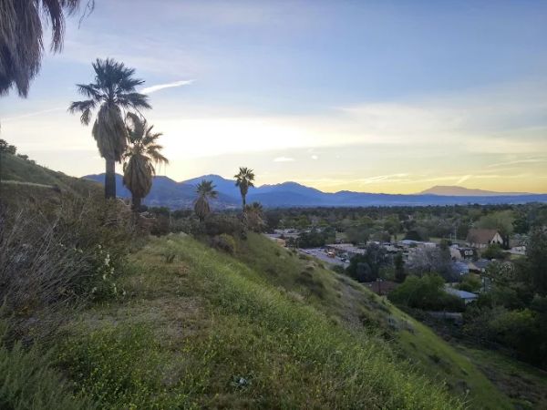 Circle Rd. Park