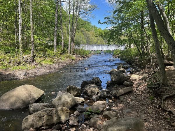 Diamond Mill Pond Dam