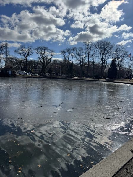 Halls Pond Park