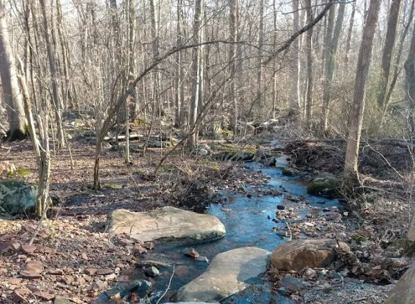 Hunterdon County Sourland Mountain Preserve