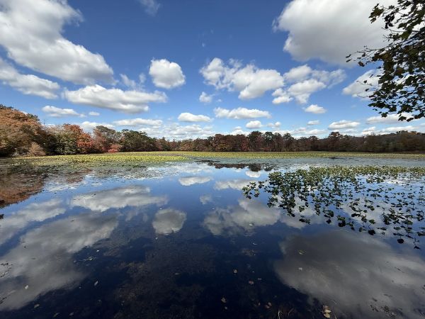 Twin Lakes Preserve