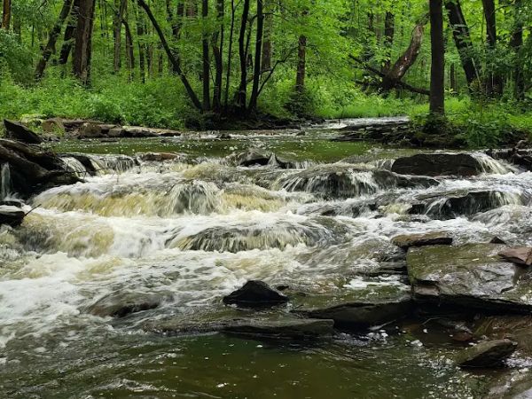 Rocky Brook Trail