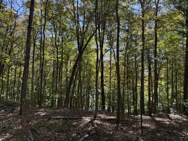 Ruth Walgreen Franklin & Winifred Fels Memorial Sanctuary