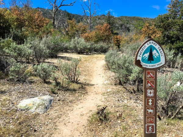 Liebre Mountain Trailhead