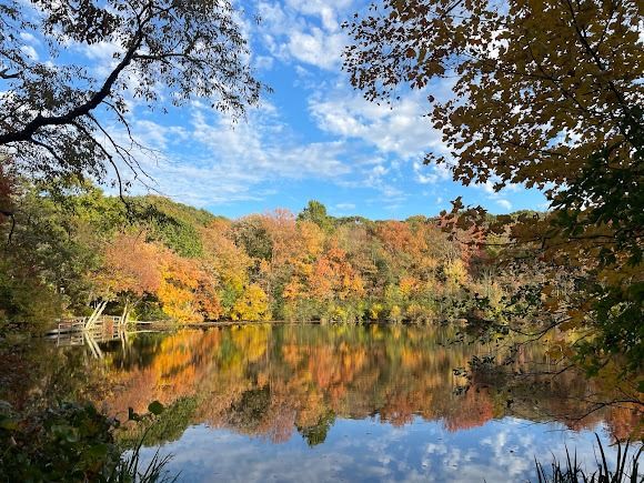 Betty Allen Twin Ponds Nature Park