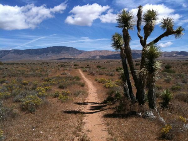Pacific Crest Trail
