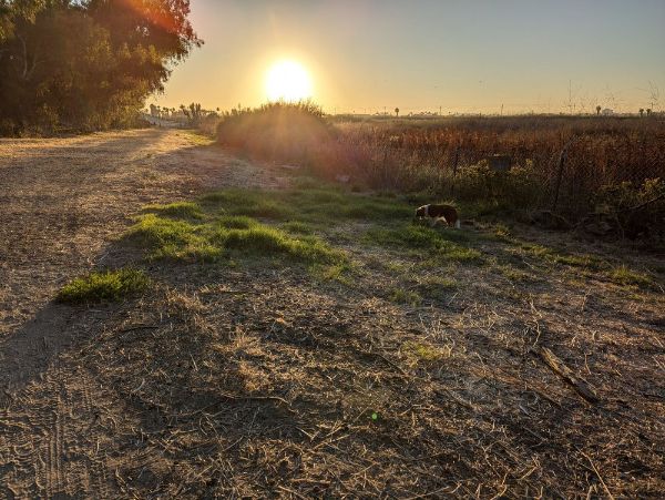 Gum Grove Nature Park