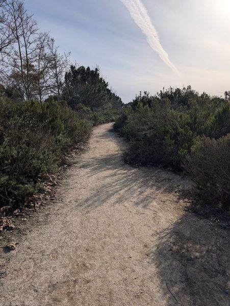 Gum Grove Nature Park