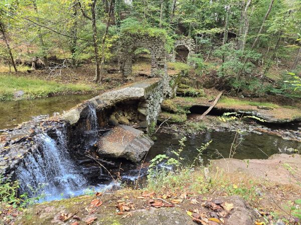 Kennedy - Dells County Park