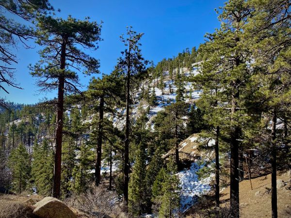 Akawie Peak Trailhead
