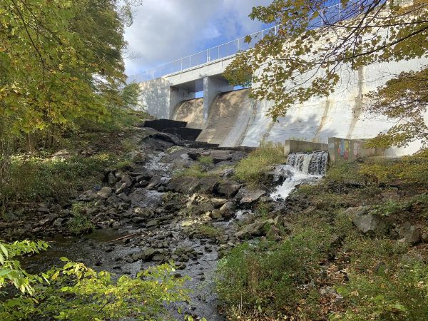 Wildcat Ridge Wildlife Management Area