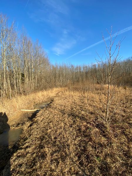 Hoffman Station Trail