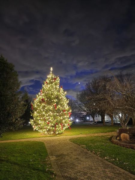 Blumenfeld Family Park