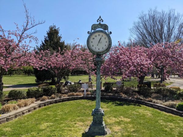 Blumenfeld Family Park