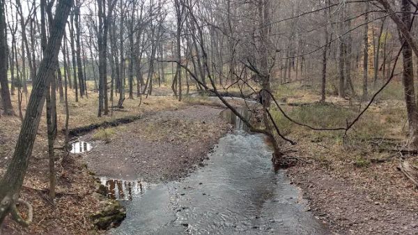 Butler Road Natural Area