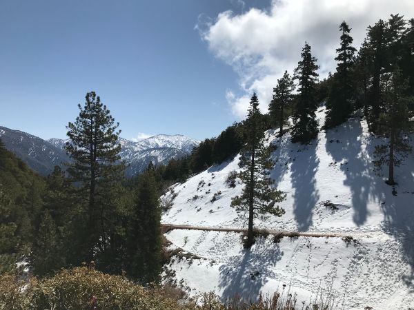 Vincent Gulch Divide