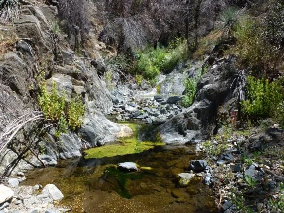 Silver Moccasin Trailhead