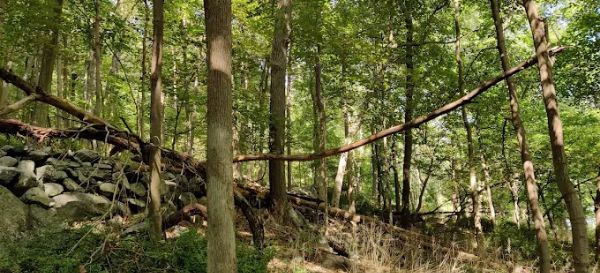 Granite Mountain Preserve