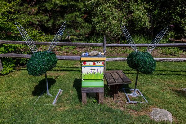 Bartlett Arboretum & Gardens