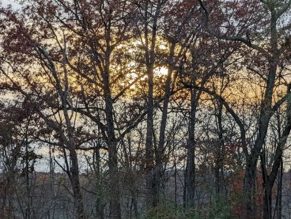 Samuel G Fisher Mount Ivy Environmental Park