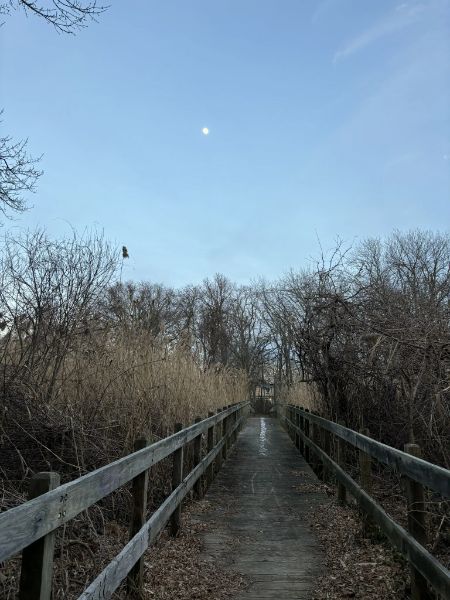 Tackapausha Museum and Preserve