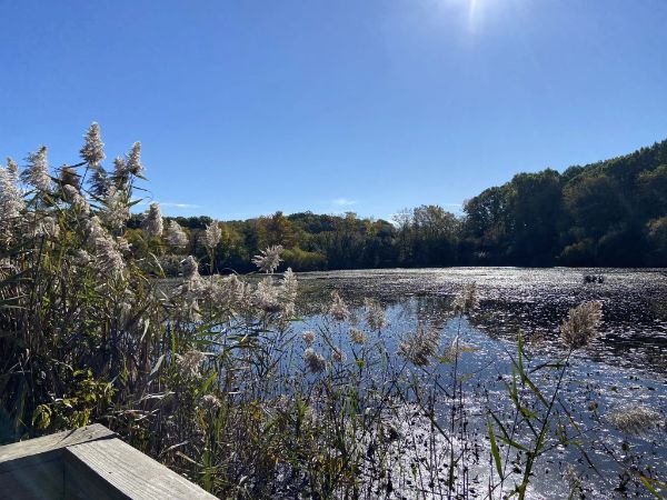 Clay Pit Ponds State Park