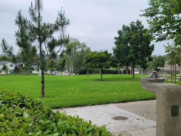 Knotty Pine Park