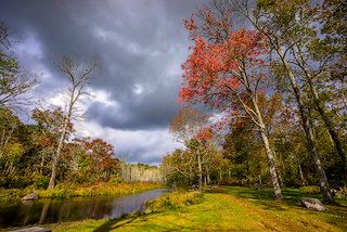 Ward Pound Ridge Reservation