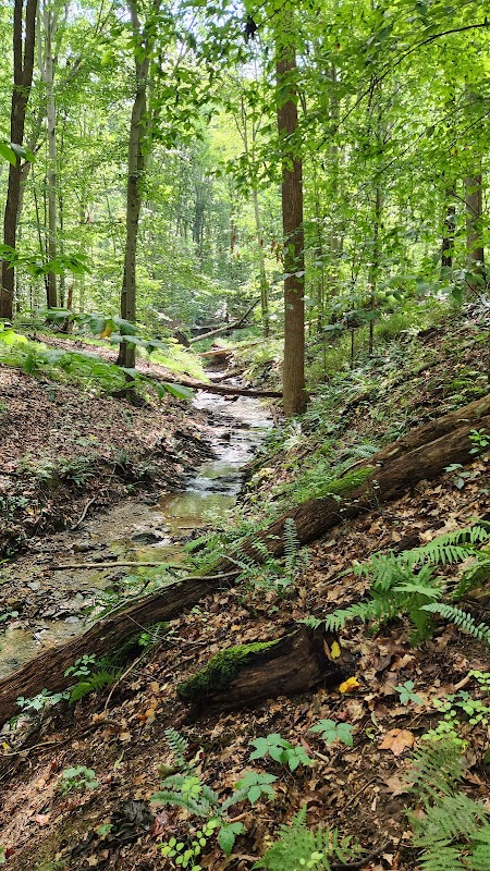 Gunpowder State Park Trails Mt Carmel Rd