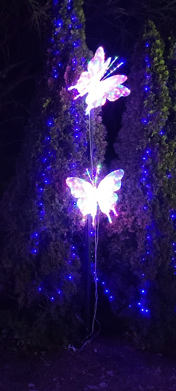 Winterfest Riverwalk