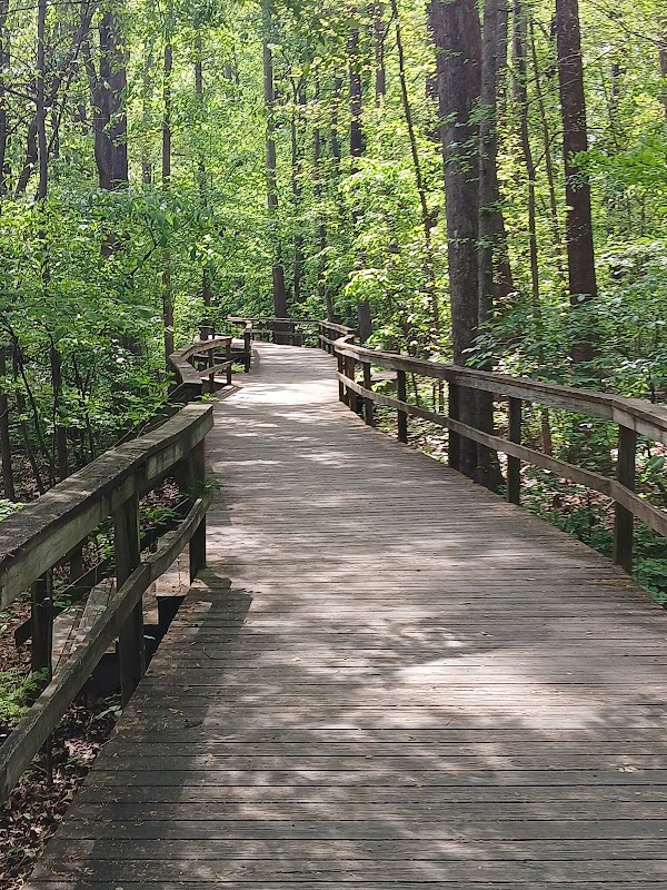 The Bog Garden at Benjamin Park