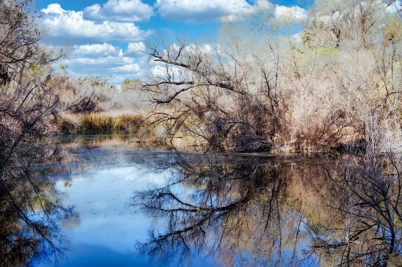 Hassayampa River Preserve Nature Center